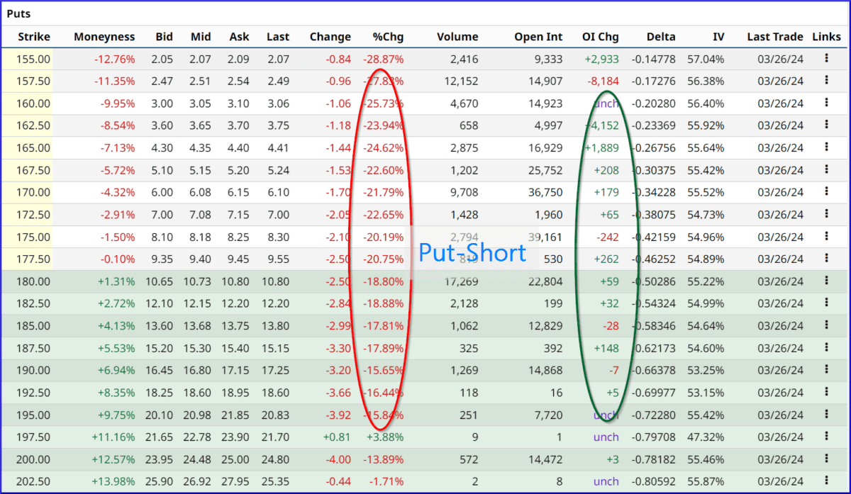 Was ist Open Interest und wie kann es Ihr Trading profitabler machen? Option Chain mit Open Interest, Tesla TSLA, Exp. 19.04.2024, PUT-Option
