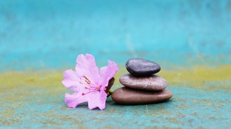 Die besten 17 Trading-Sprüche und Trading-Zitate (2025) zen-ernsthafter-trader