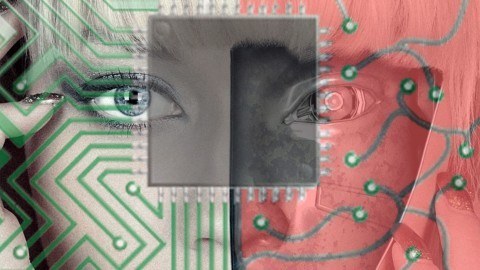 Algo-Trading, Handelsroboter und Handelsalgorithmen programmieren lernen: Tradingkurse auf Udemy (2025) Algo-Trading