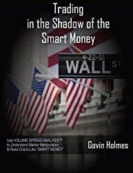 Volumen im Trading nutzen: Die 10 besten Bücher (2025) Trading in the Shadow of the Smart Money Buchcover