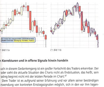 "Das große Buch der Markttechnik" von Michael Voigt (2025) Michael Voigt zeigt Traingfehler auf - Kapitel 7