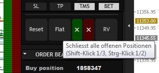 StereoTrader - Erfahrungen und Test (2025) Stereotrader-Shortcut für Teilverkäufe bei Flat-Button