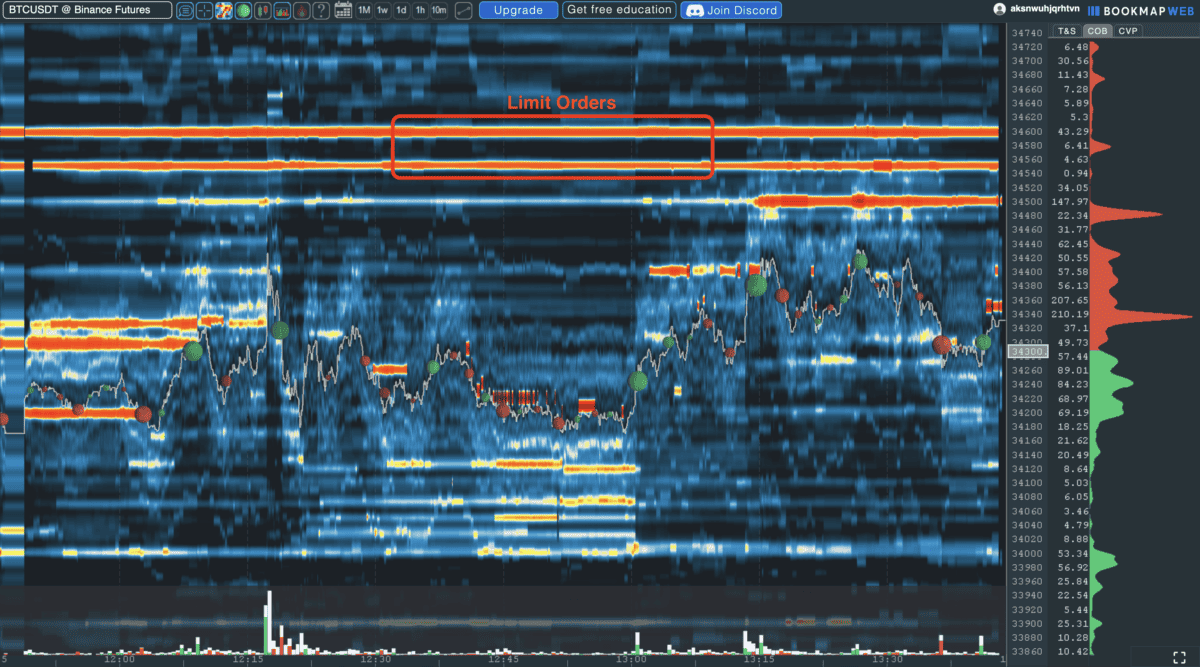 Das Bild zeigt die Bookmap Software live und erklärt die Heatmap. 