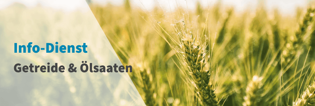 Kaack Terminhandel – Der führende Anbieter für Terminkontrakte im Agrarbereich Kaack nfo dienst getreide oelsaaten