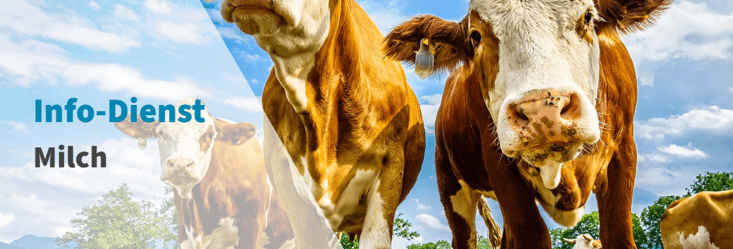 Kaack Terminhandel – Der führende Anbieter für Terminkontrakte im Agrarbereich Kaack info dienst milch