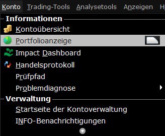 Mit der Trader Workstation (TWS) Optionen handeln? (2025) Wiederherstellen der Registerkarte "Portfolio" im Menüpunkt Konto > Portfolioanzeige